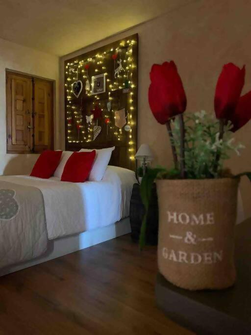 Luxury Danna Plaza Mayor Куэнка Экстерьер фото